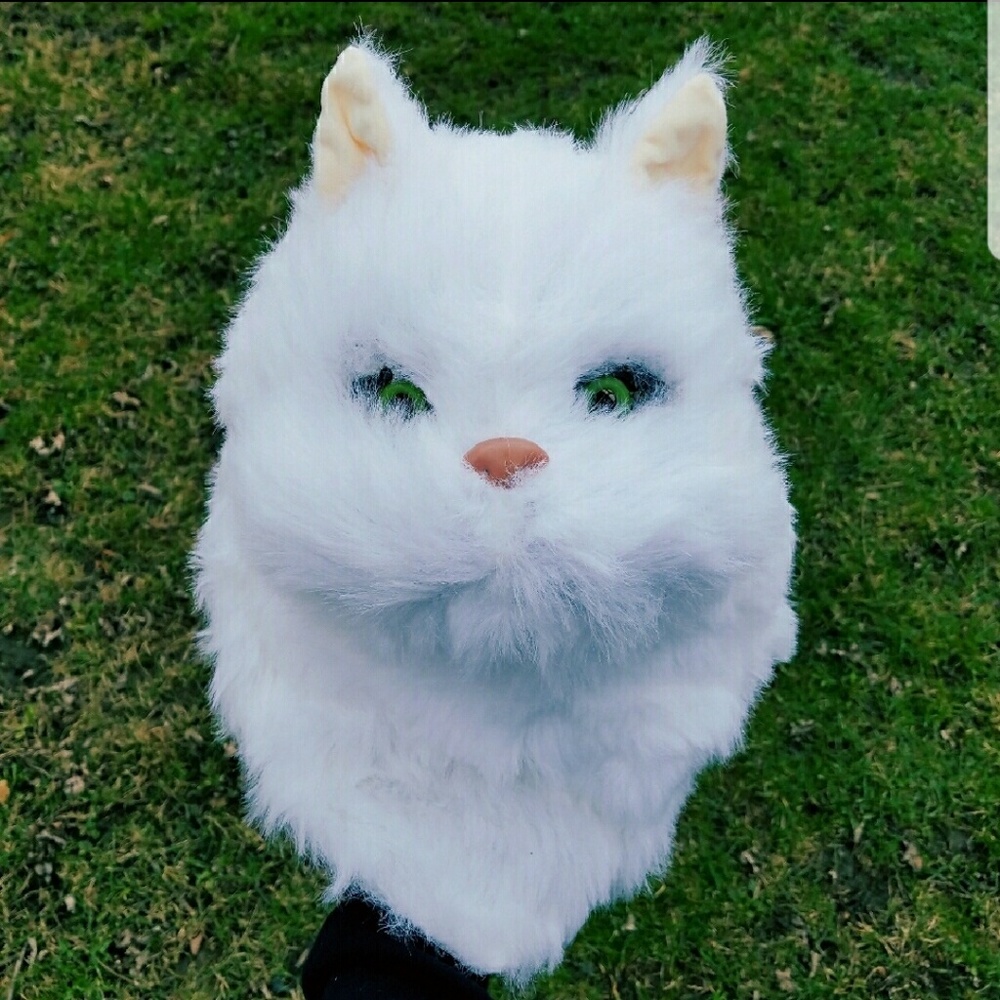 Cat Mask